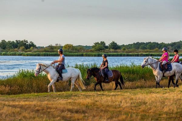 Mobilhome Sous Chalet En Bois A La Ferme Josnes Екстер'єр фото